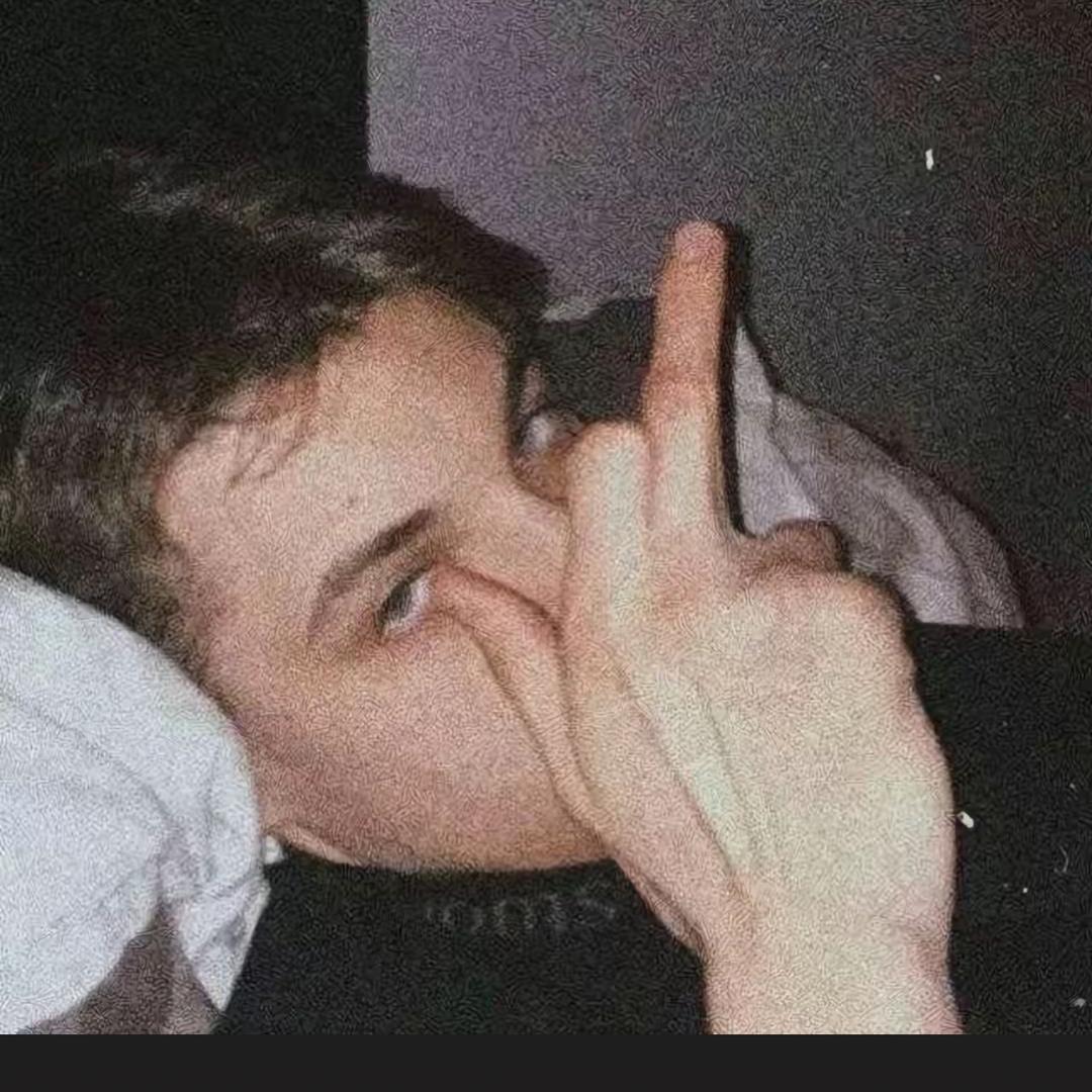 鹤占
