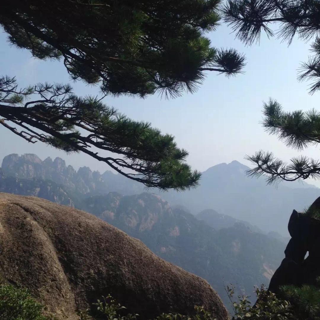 遇见缘份