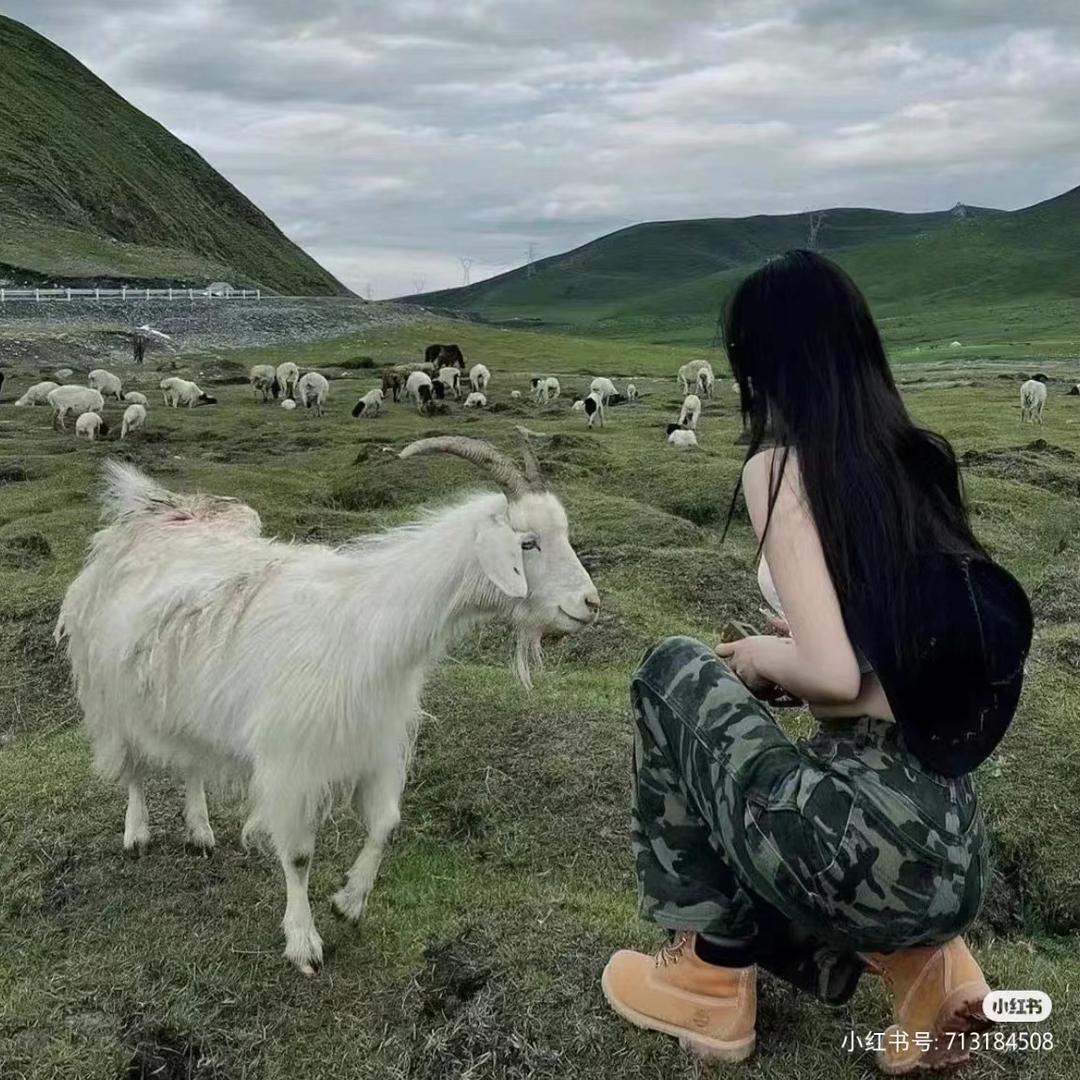 💎御姐💎茶🌷穿搭👗