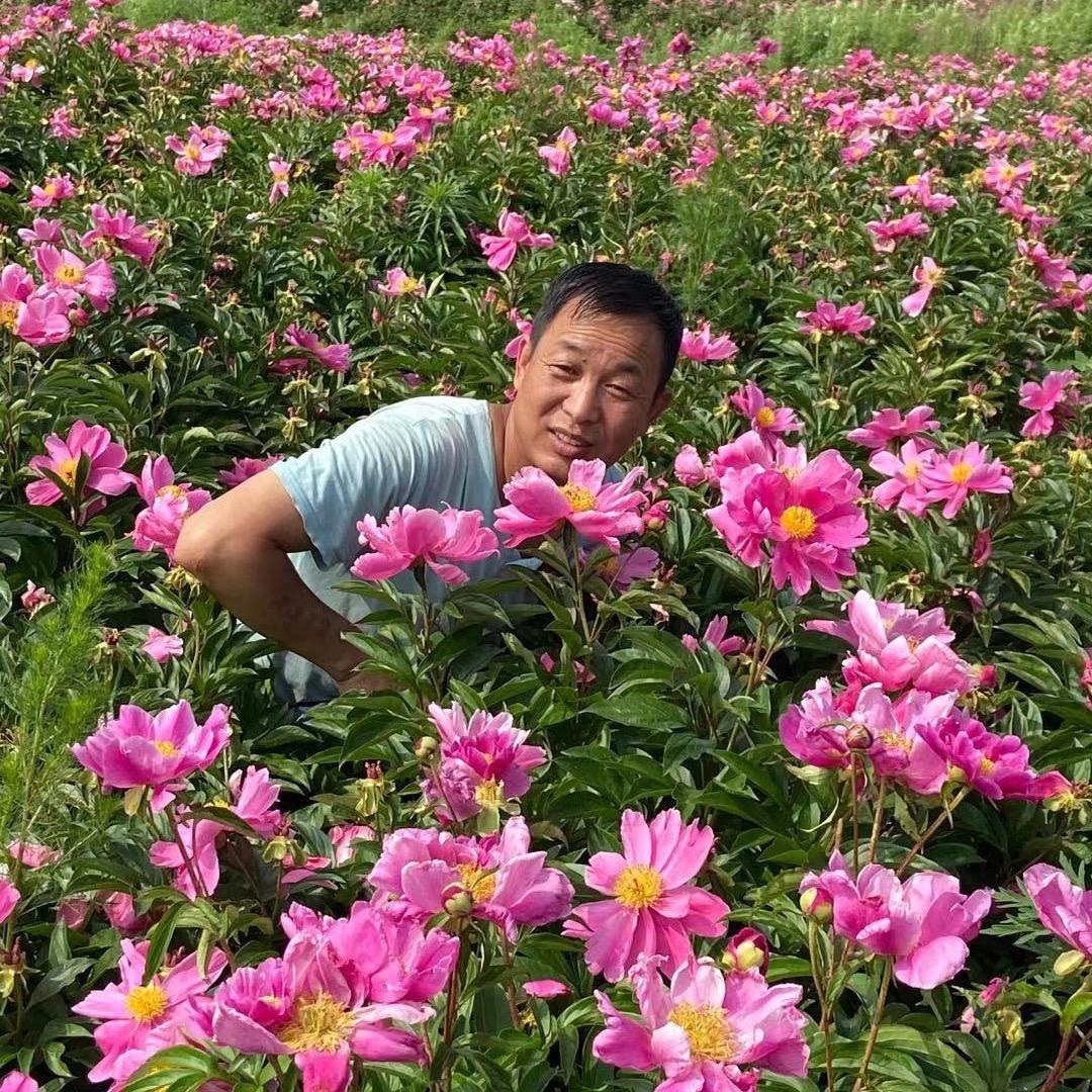星星精品（好物分享）