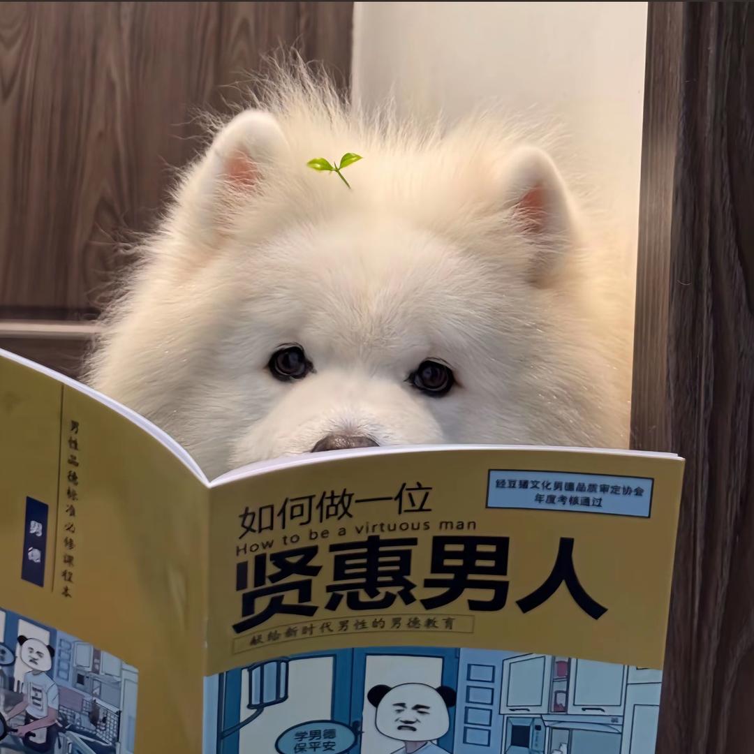 ⑱