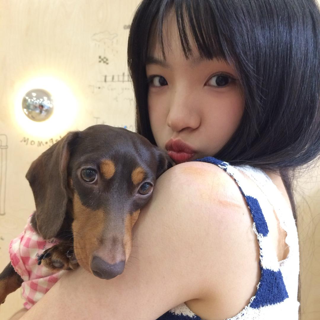 nn大王
