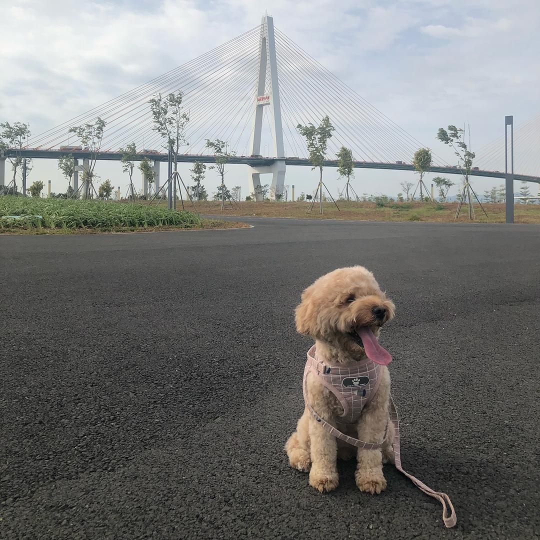 小鸵鸟🙈🙈