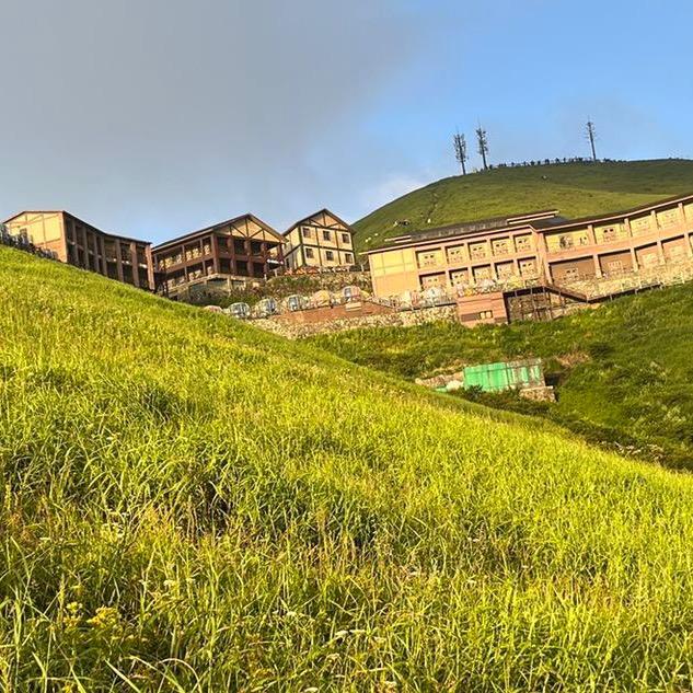 山驴