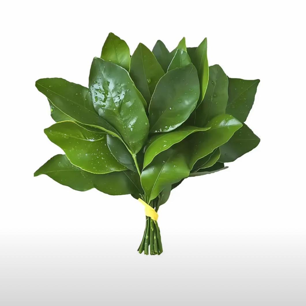 我不炸毛