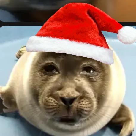 痛泪难释