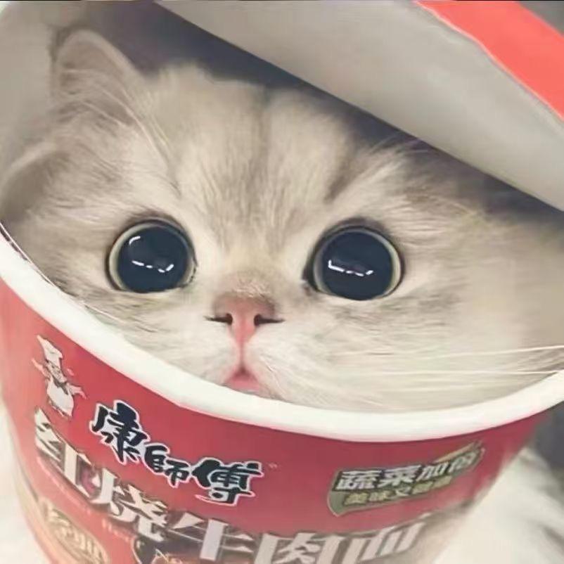 燕徒