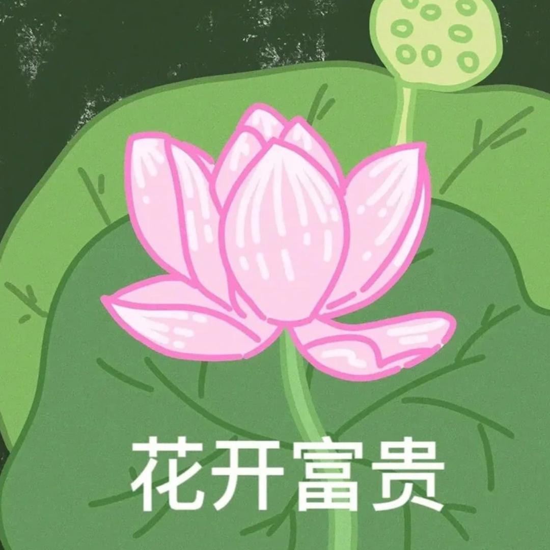 🌈碳烧兔爪🌈