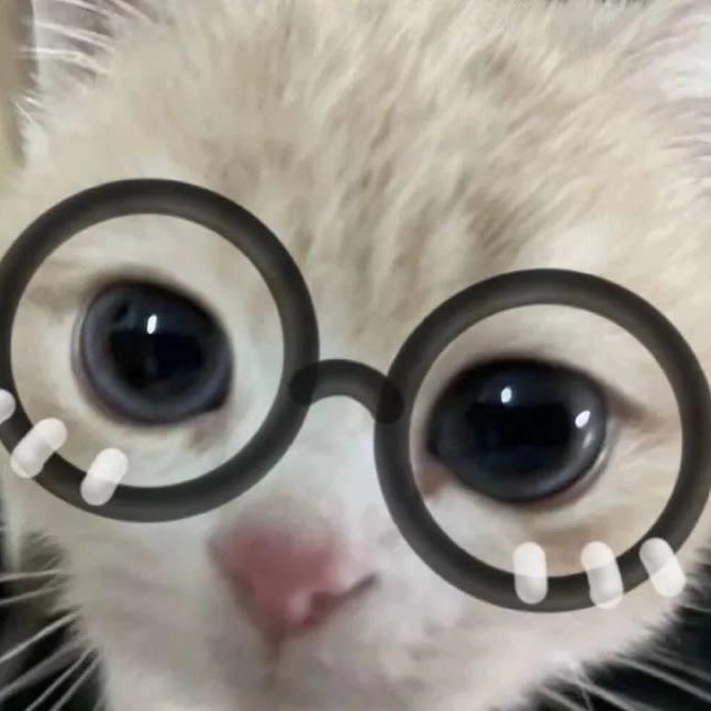 不是qq