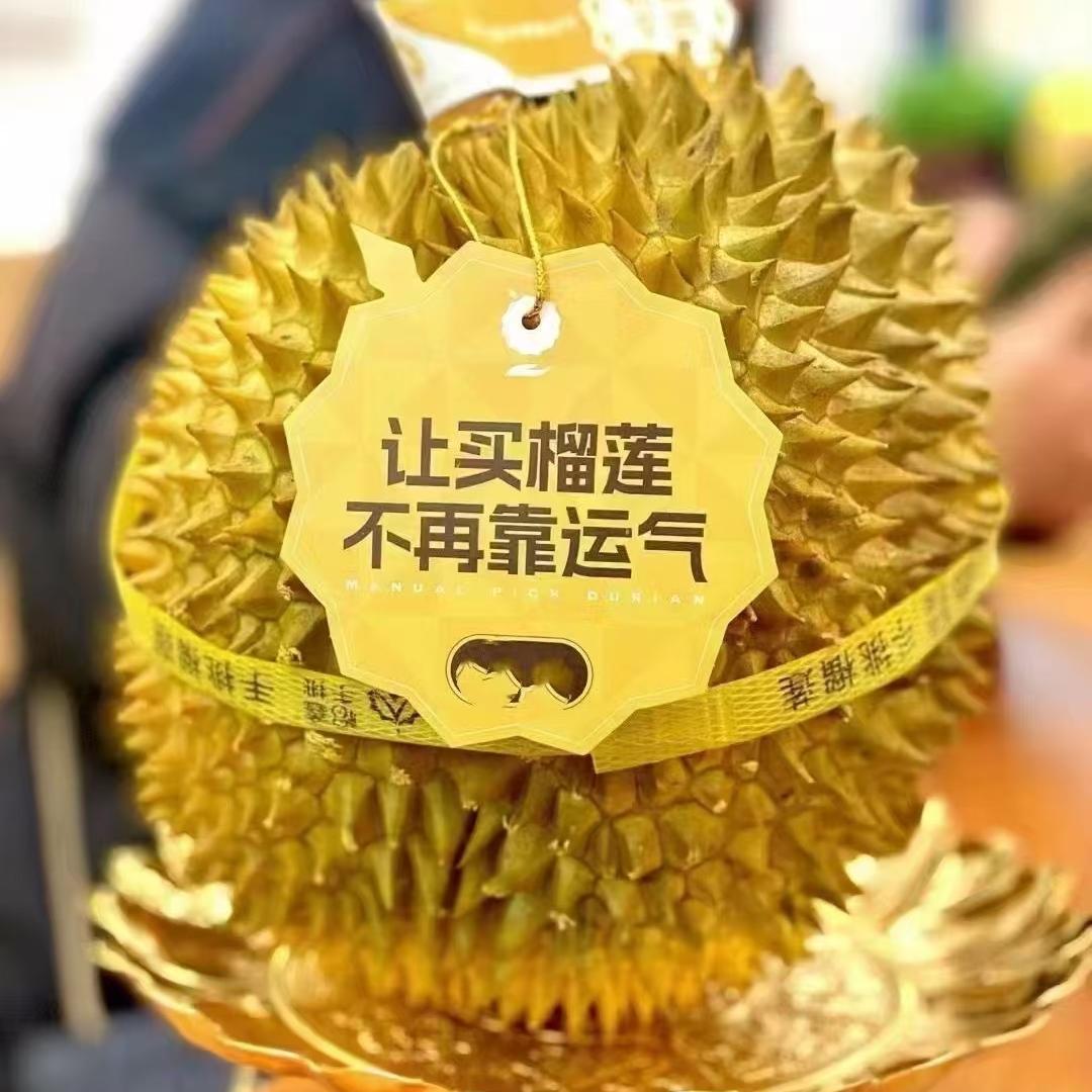 榴莲水果小时达