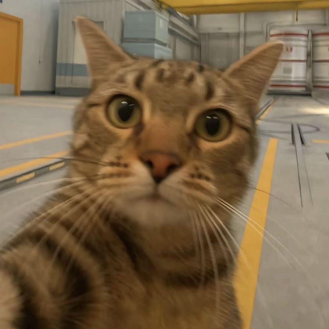 Www
