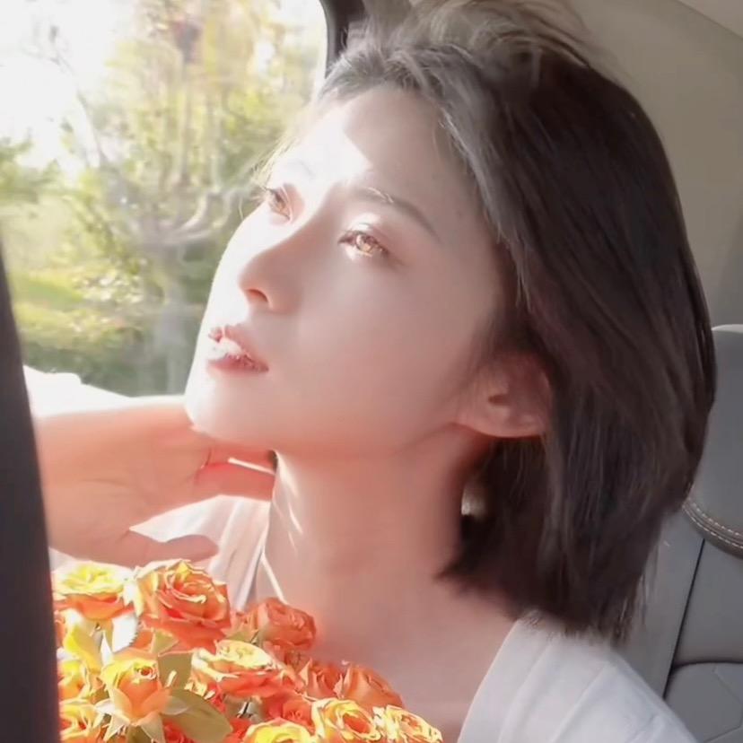 煤球小姐
