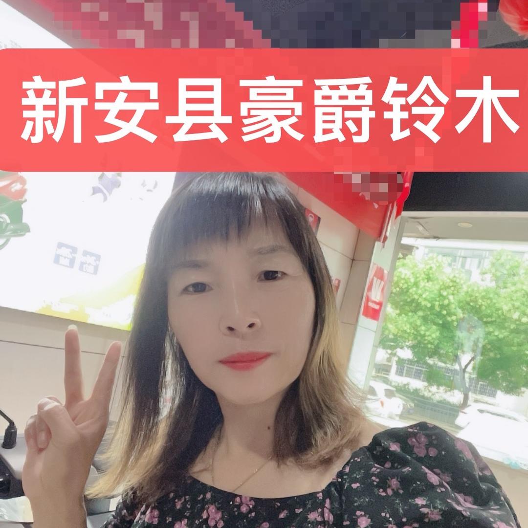 新安县豪爵铃木，五羊本田