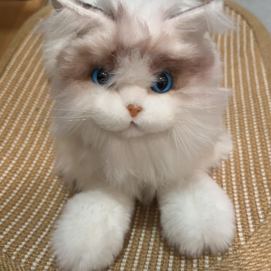 熊小哥