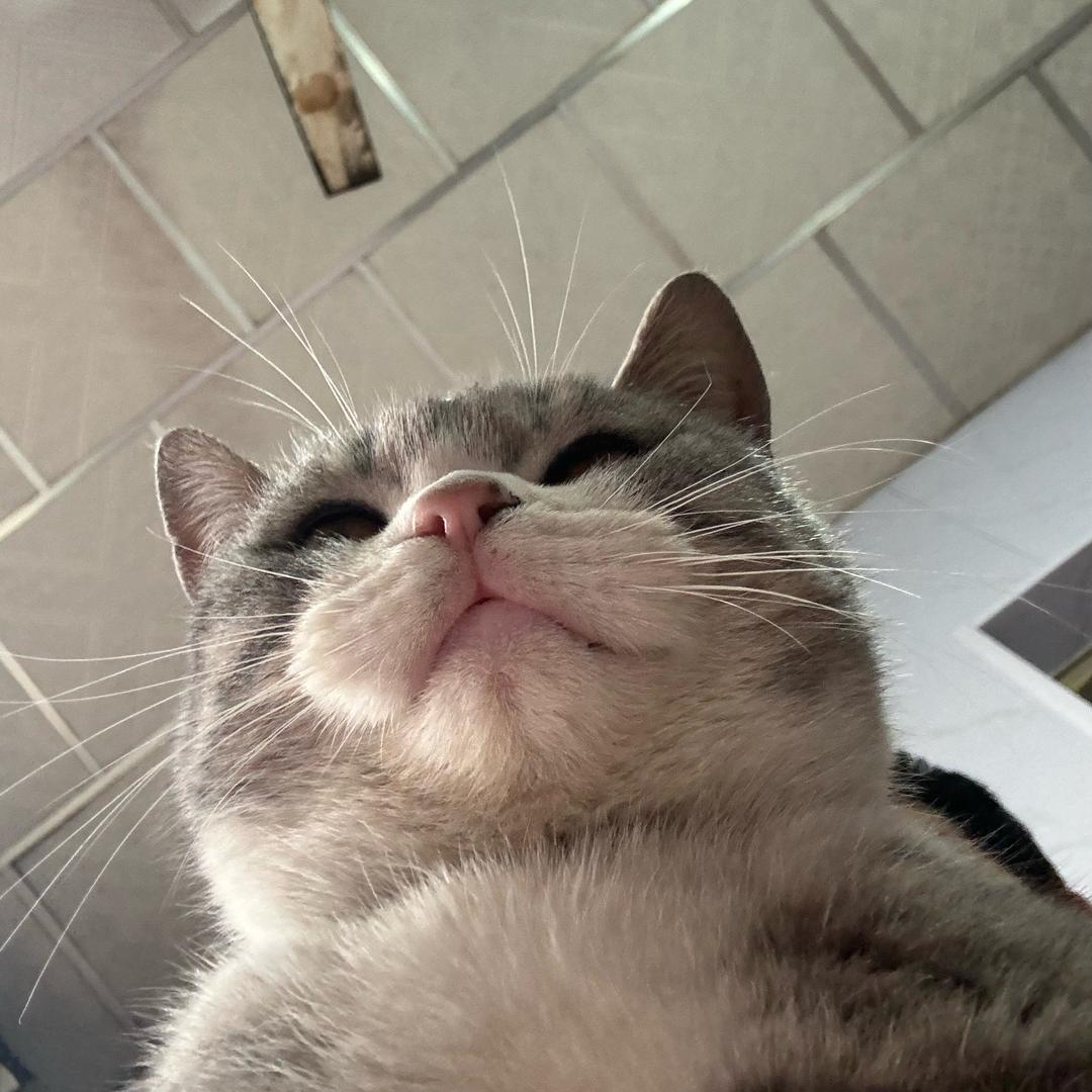 抽象至极