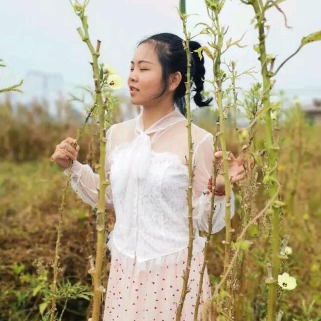 圆脸妹得得妹妹婚礼活动现场-助理号
