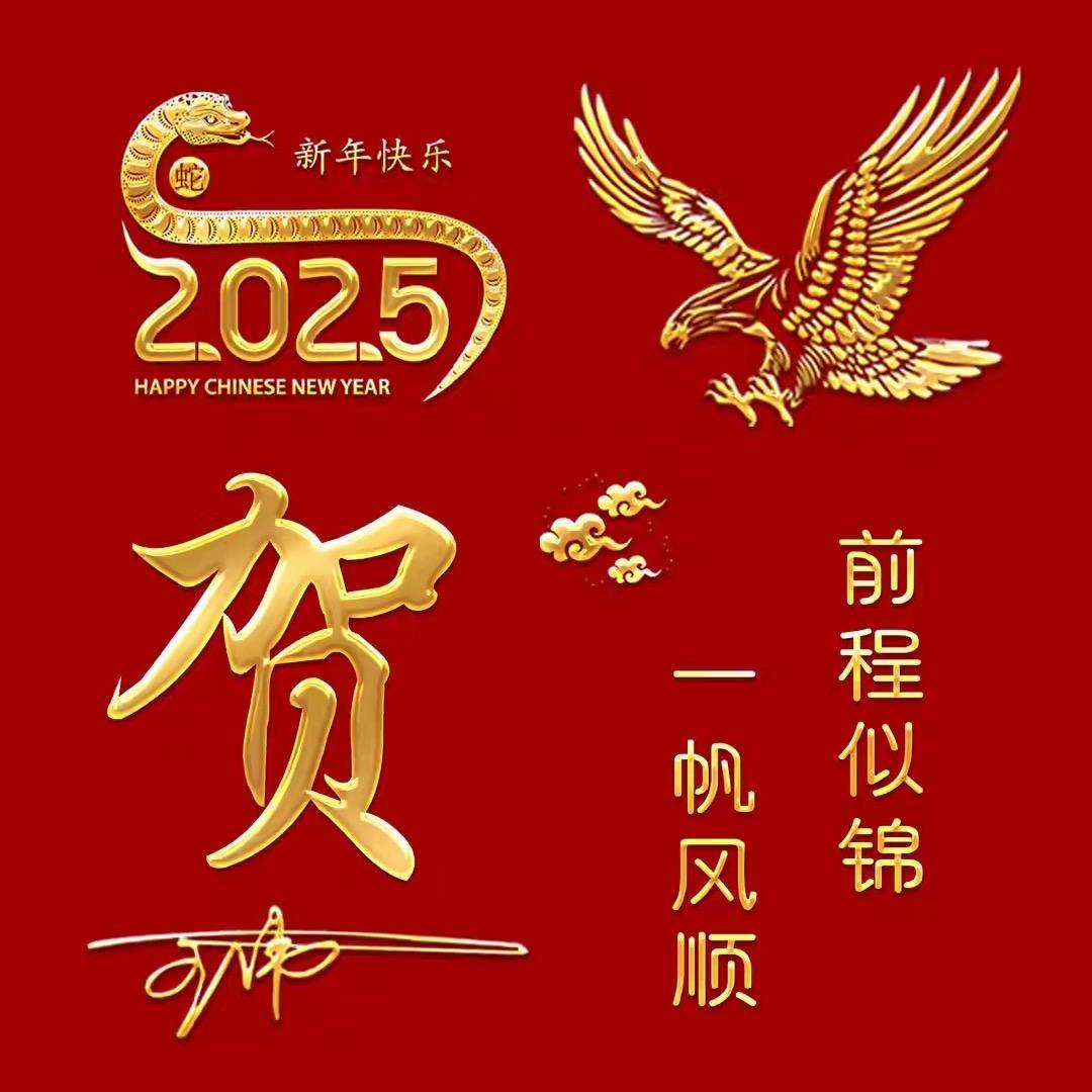 中国芯🇨🇳
