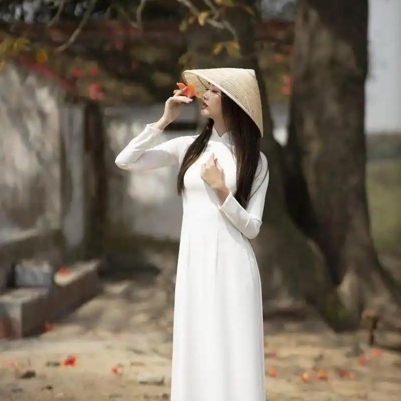 越南女婿阿豪