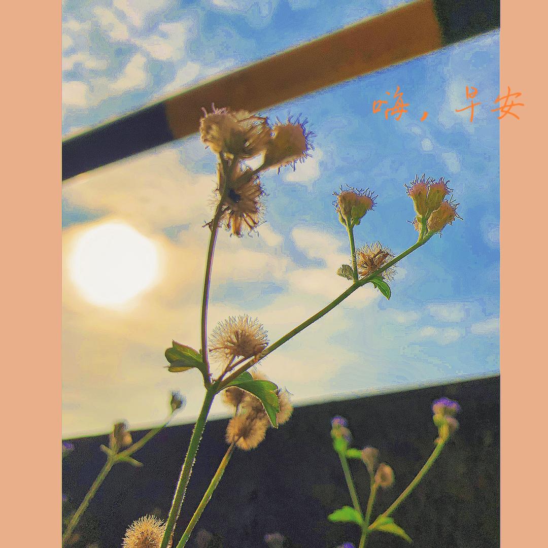大鄢