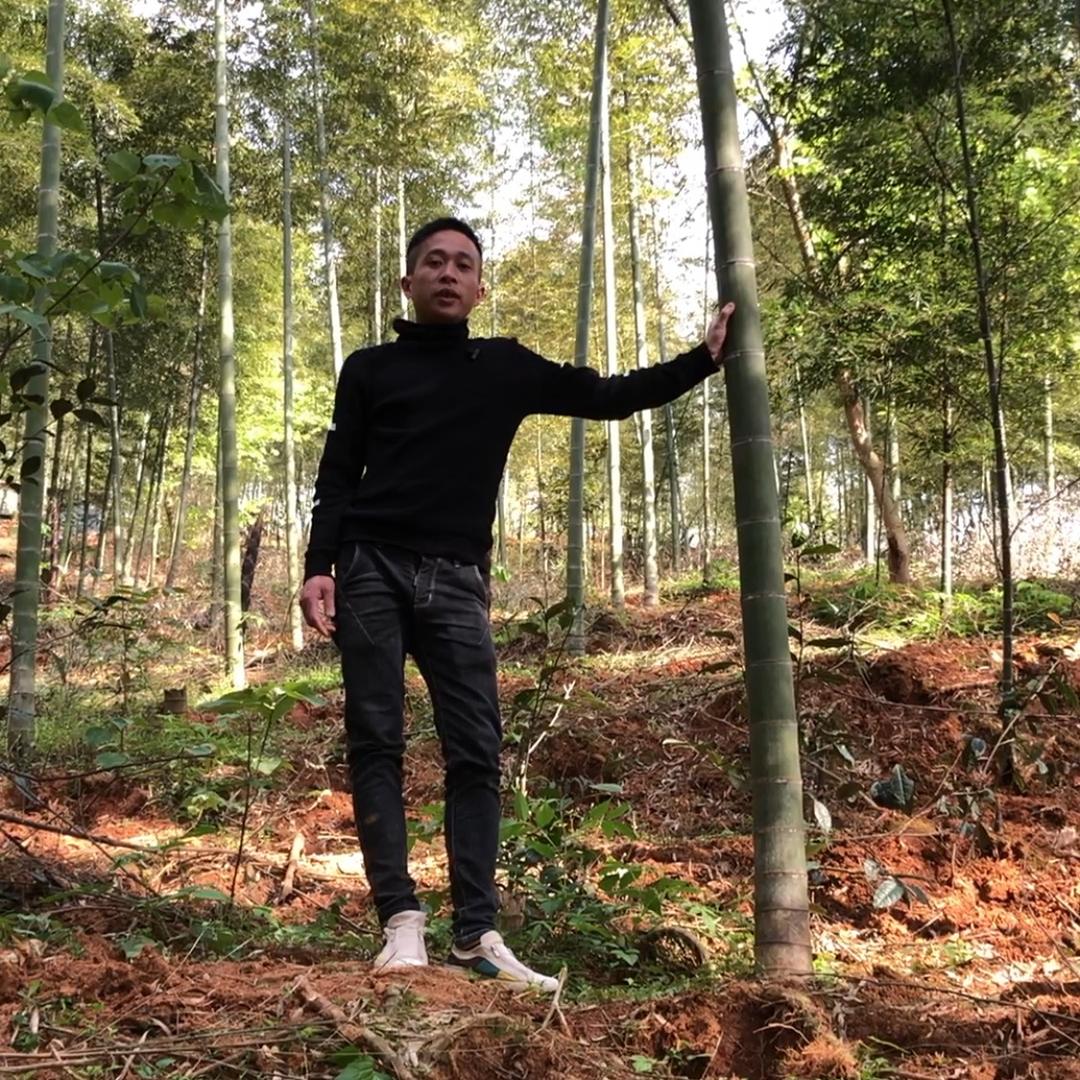 闽北男孩的头像