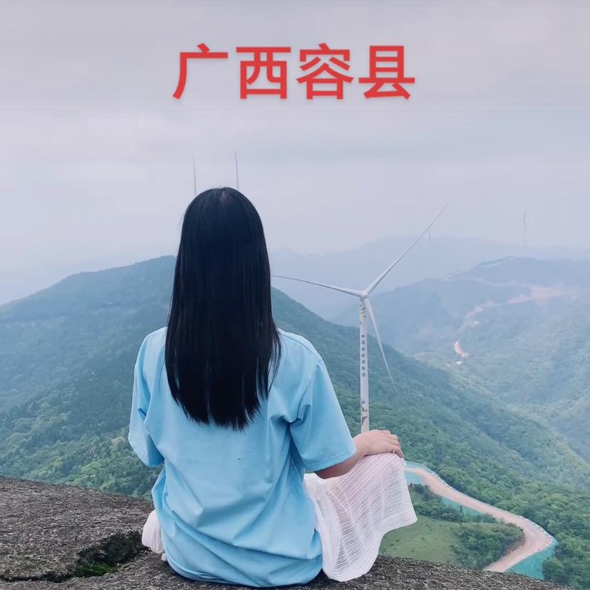 向来缘浅。