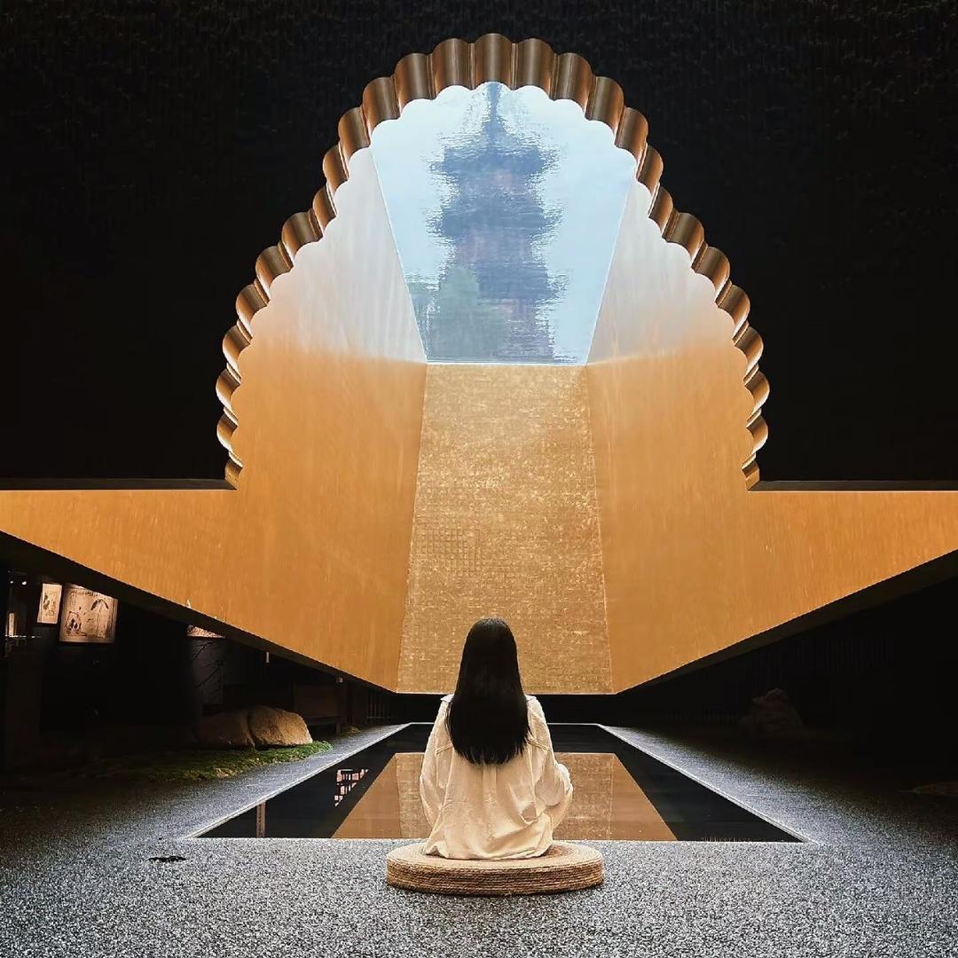 乐视