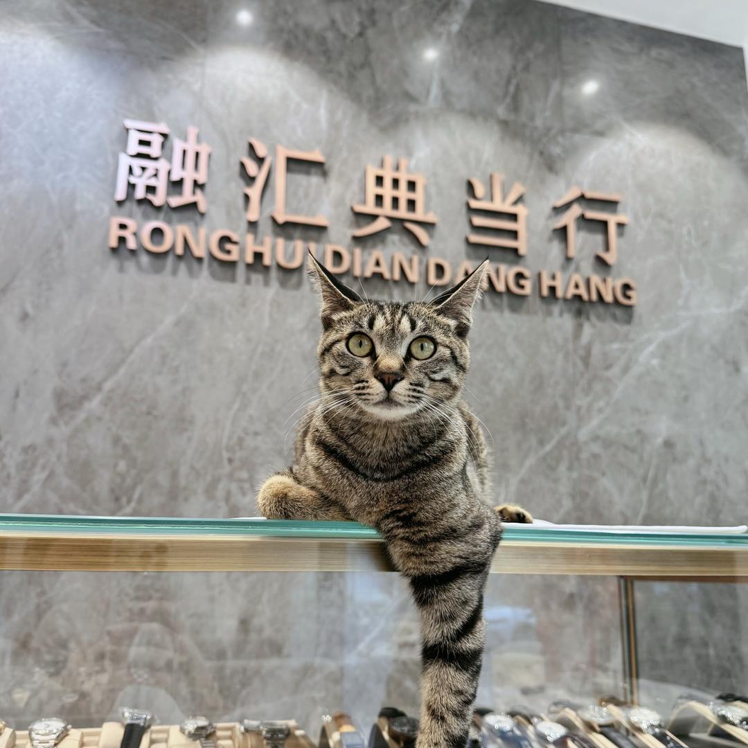 在大连拿麻袋收黄金