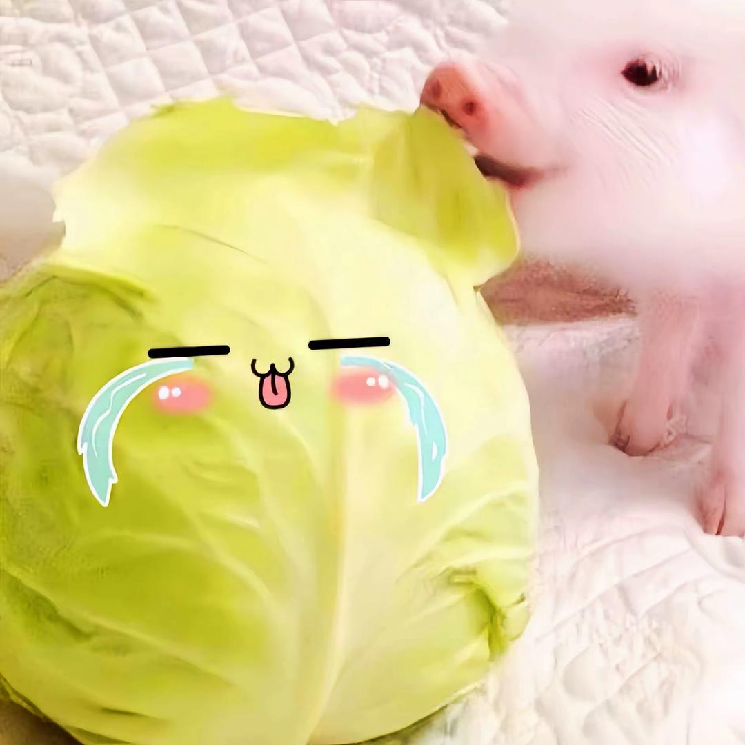 我要水饺了