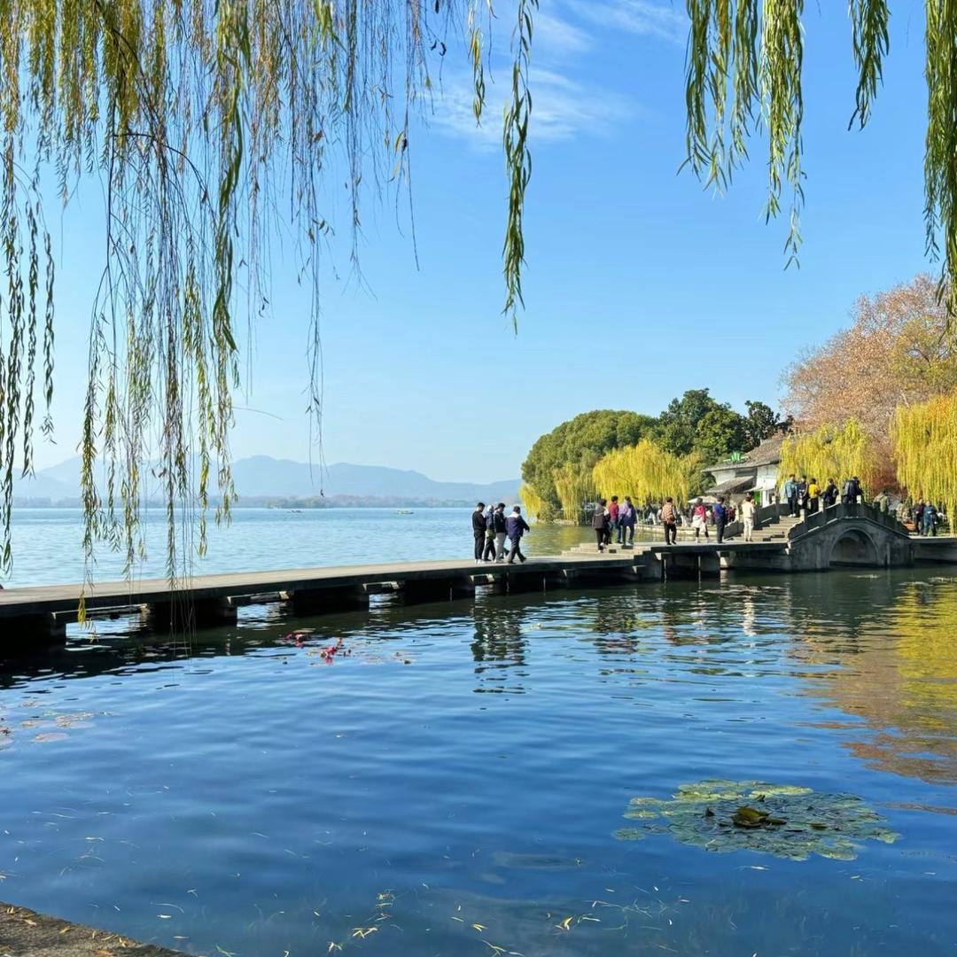 小海豚亲子儿童定制服饰