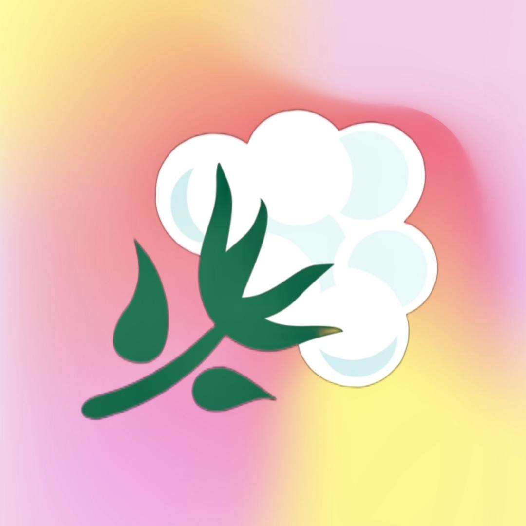 百棉家居
