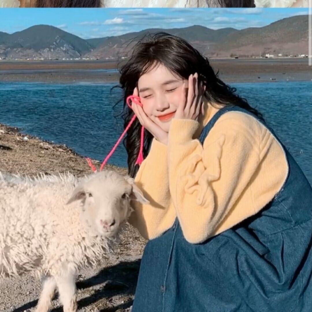 洋洋🐑