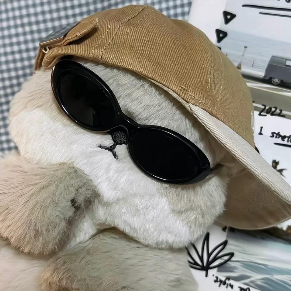 福尔摩斯🦈.