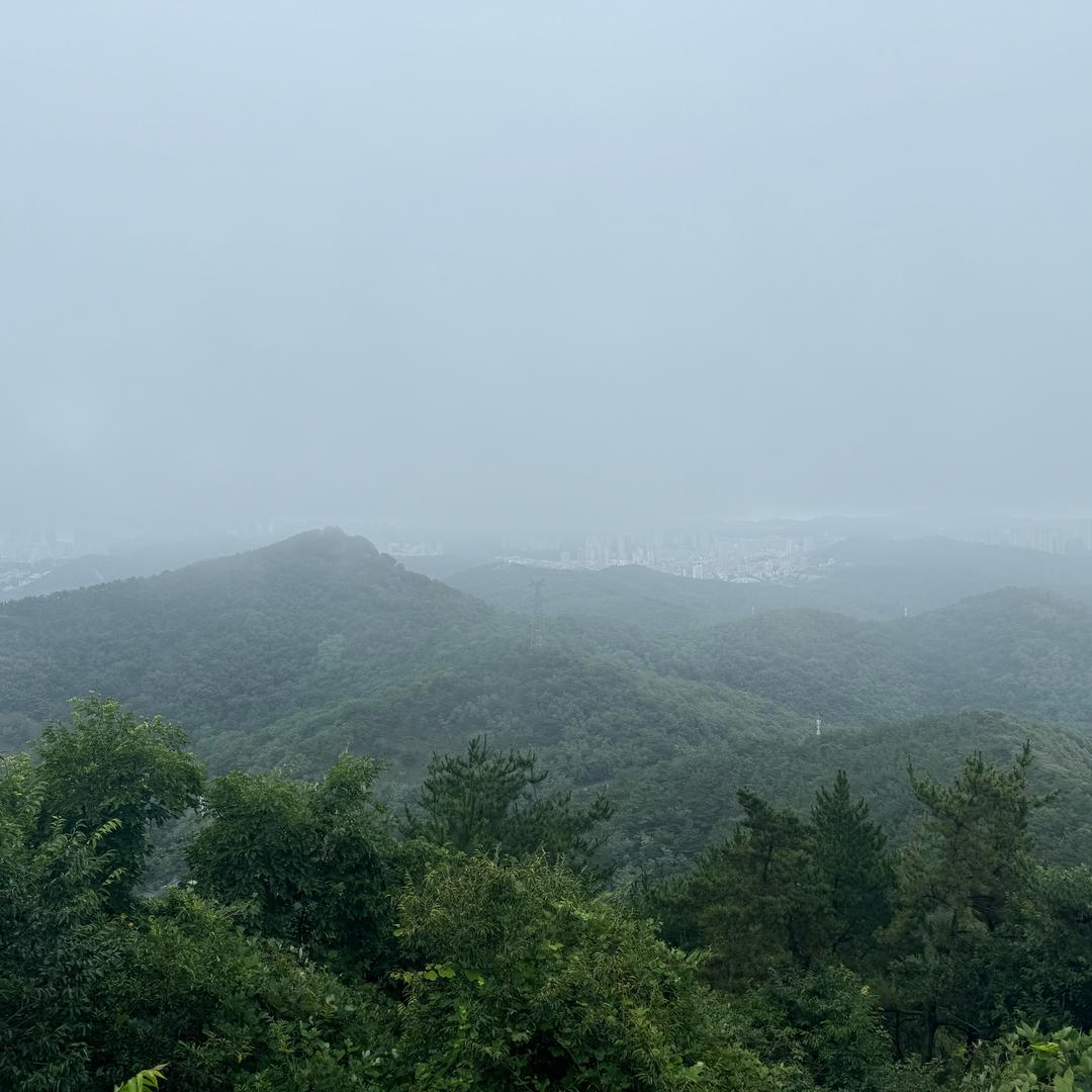无情杀猪侠