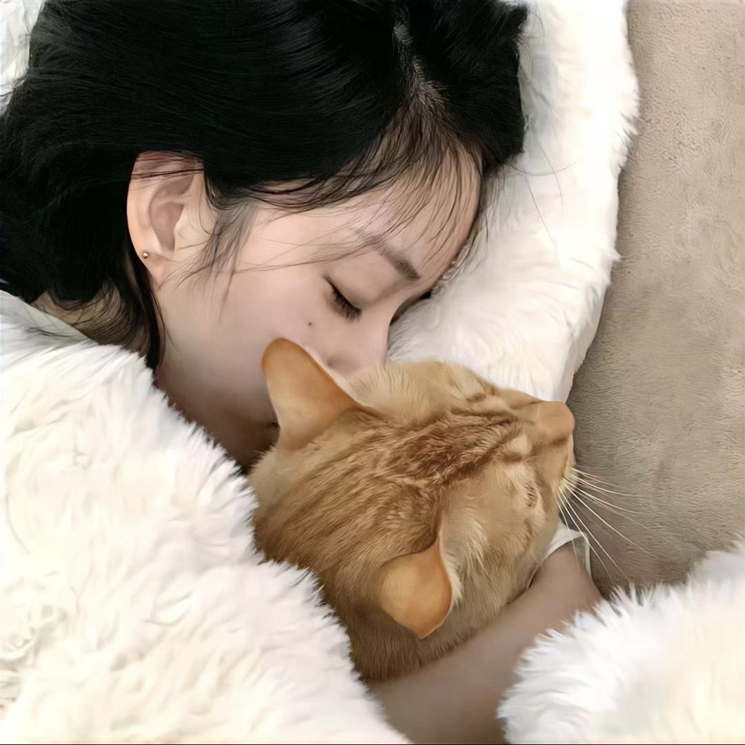 好好读树