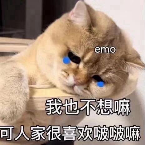 小B休假两年半（看过7次iag版）