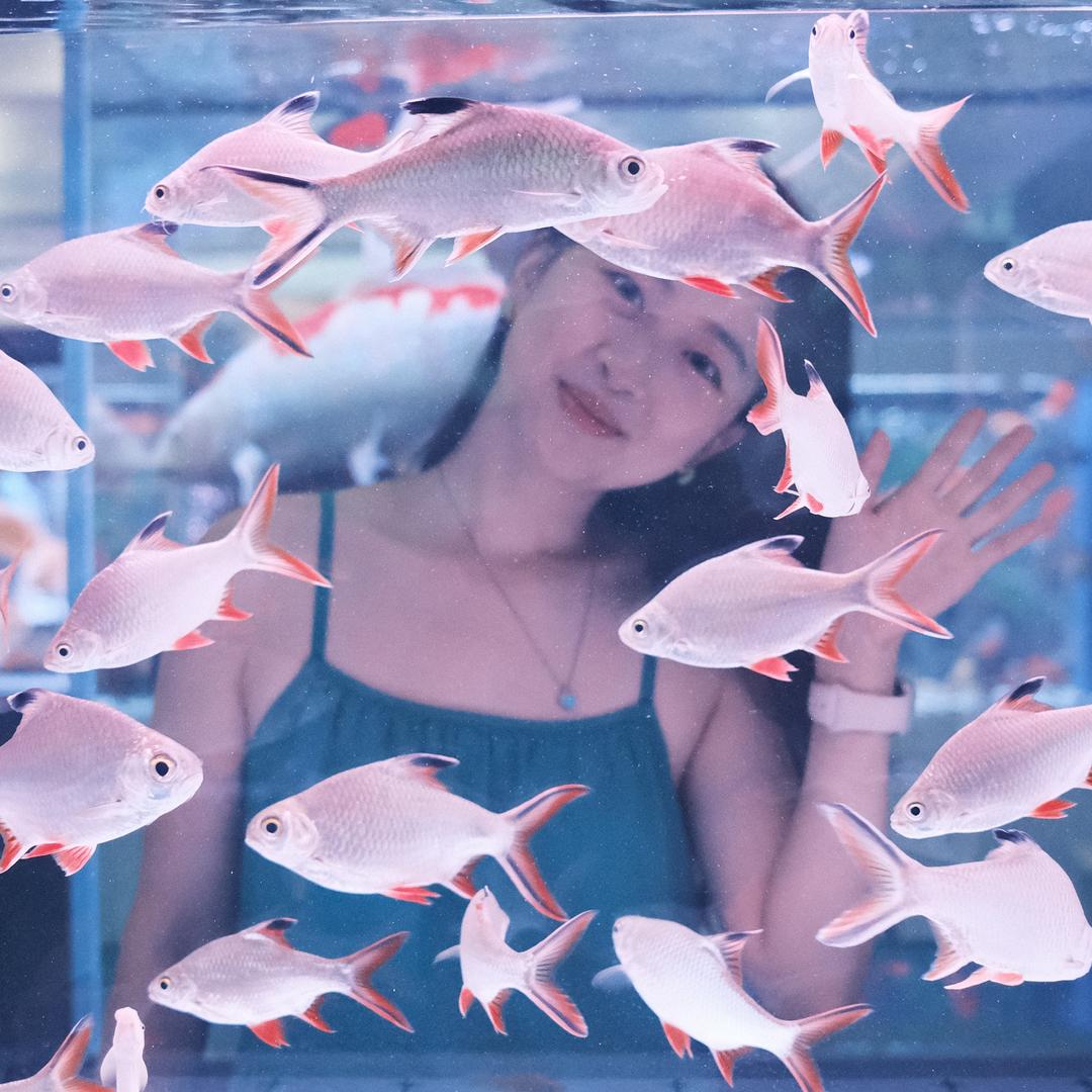 小夏瓜