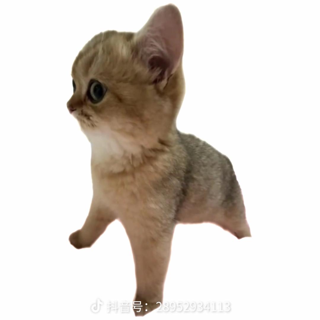 不爱吃角