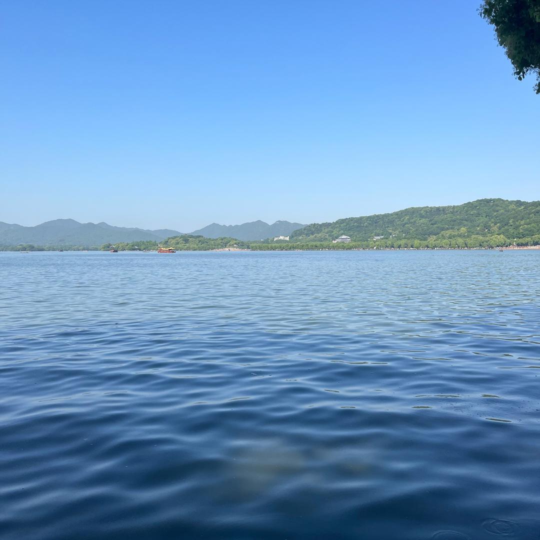 为生活，陪富婆