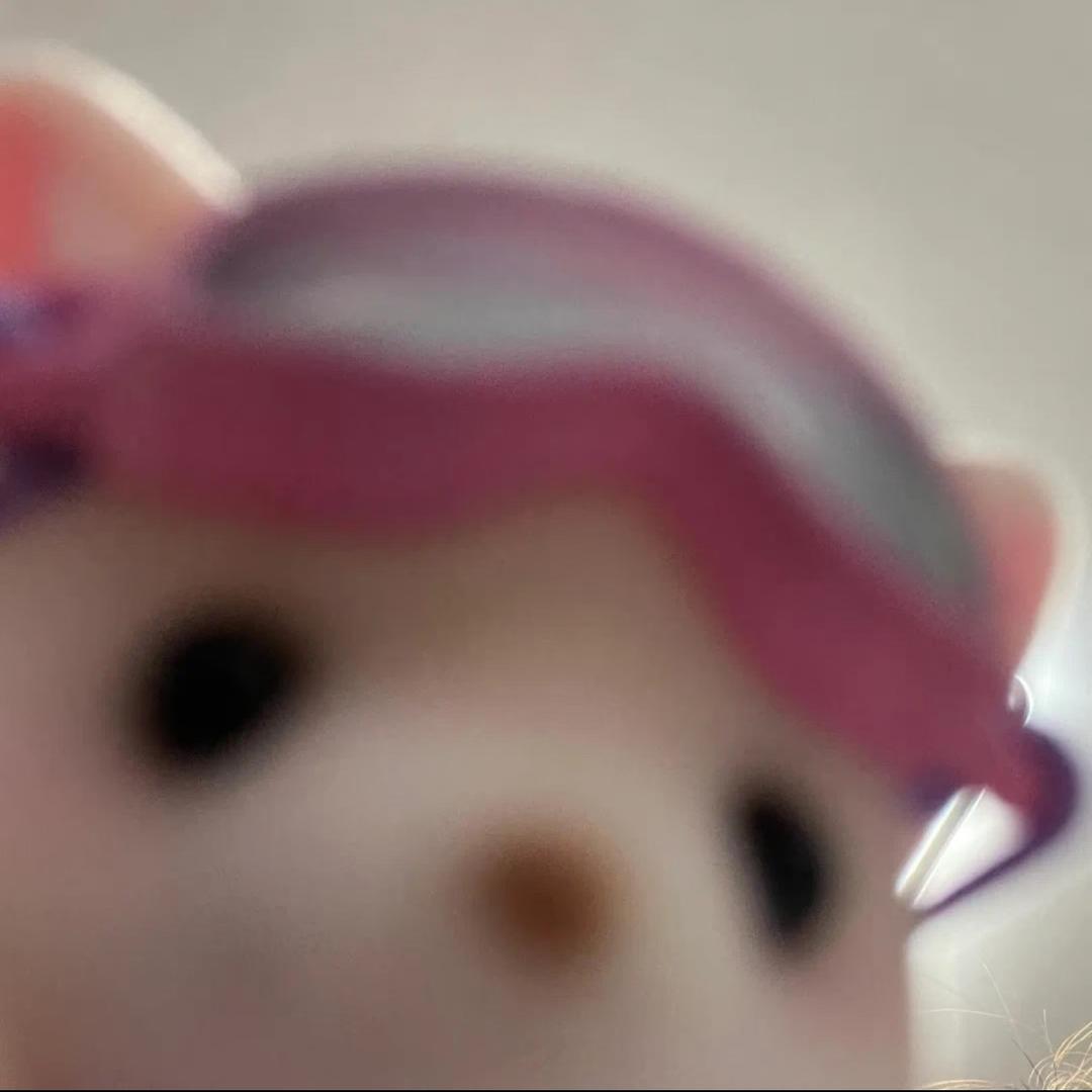 一只笨^