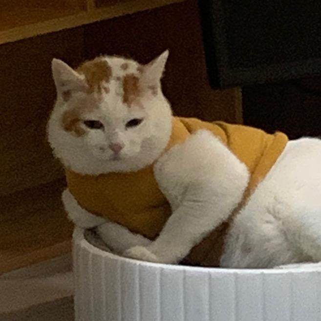 孤僻的大魔王
