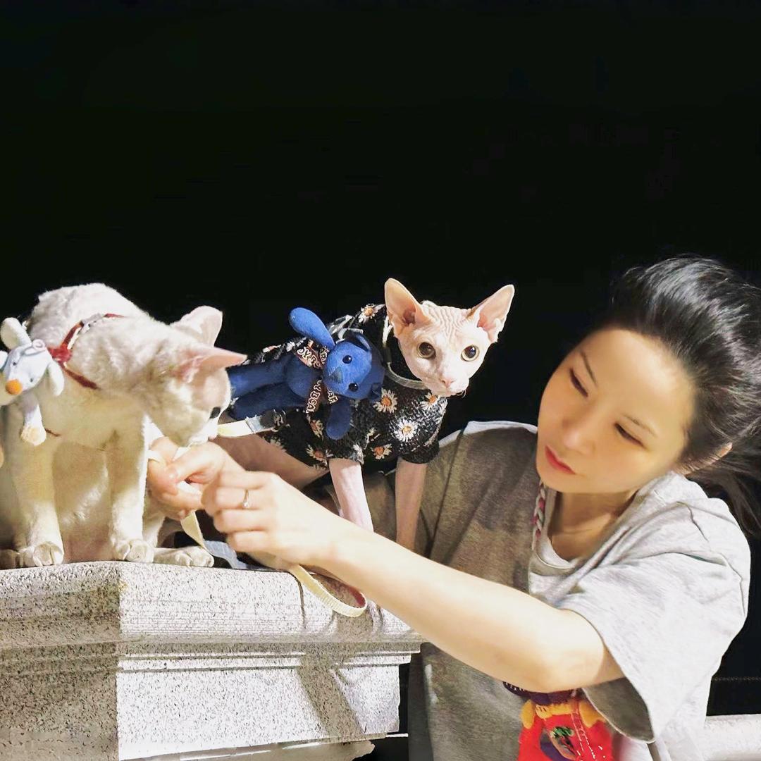 法老粘人精