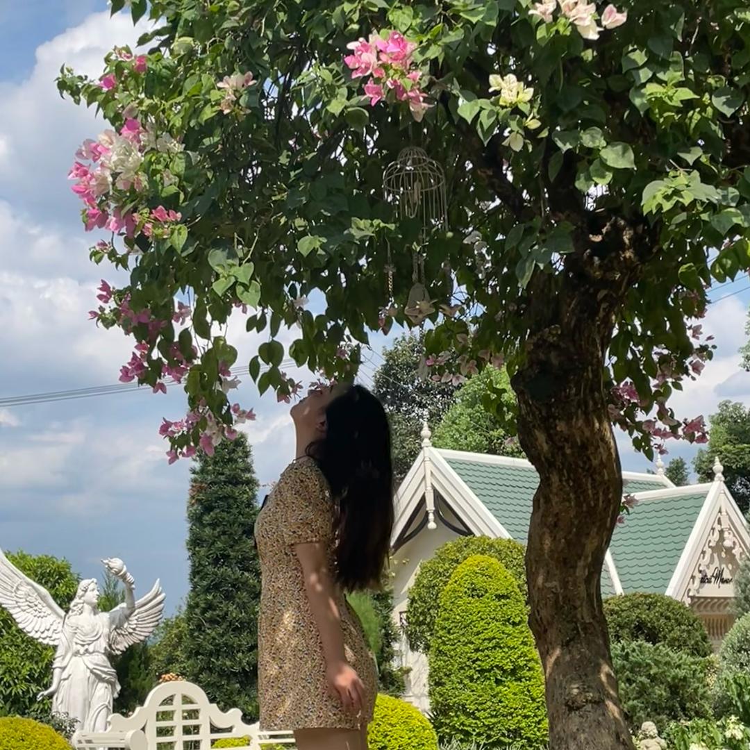 笛笛微