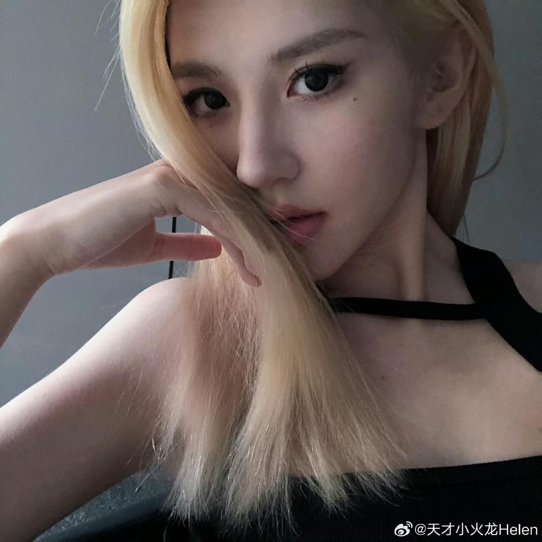 小羊苏西