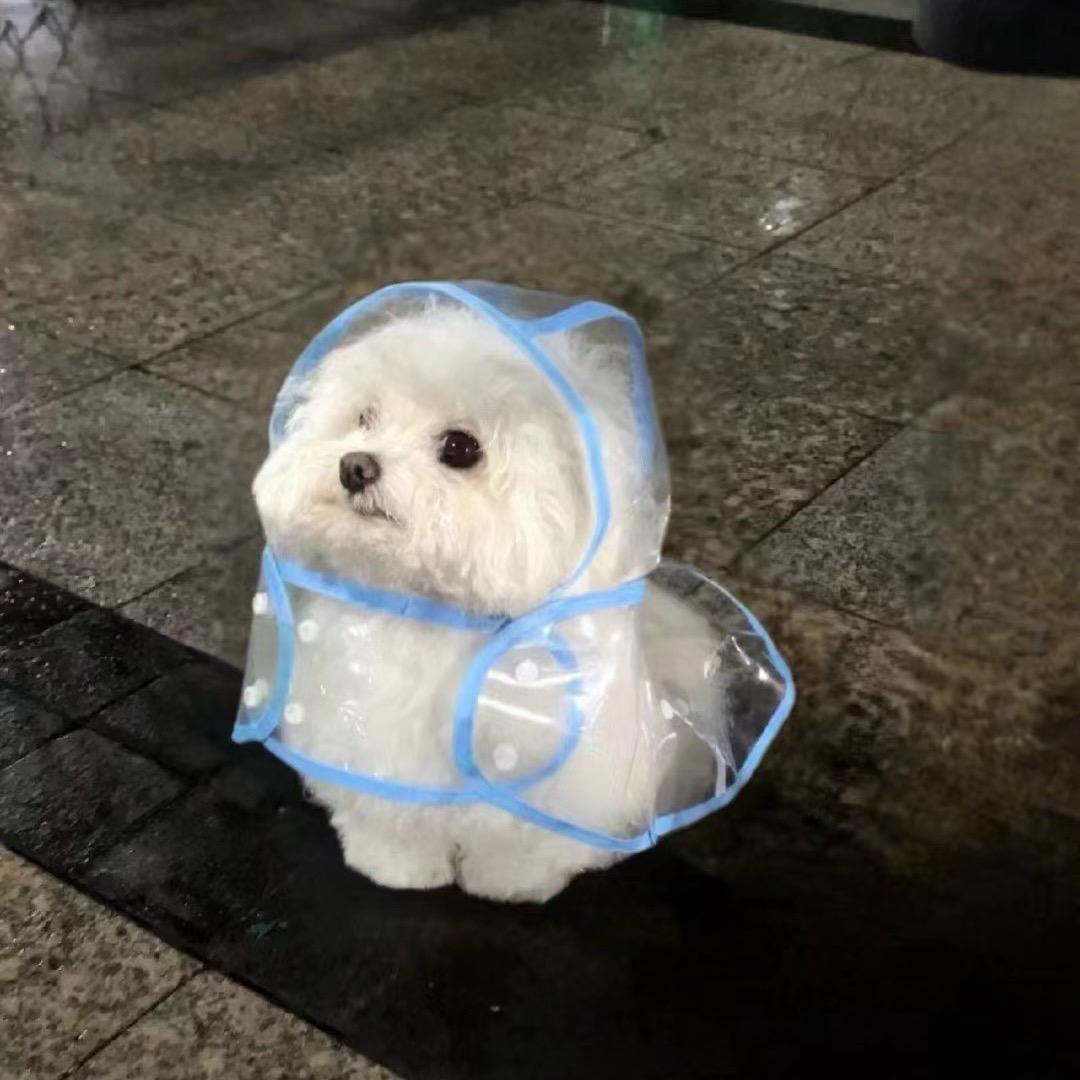 🍚的装修日记🏠