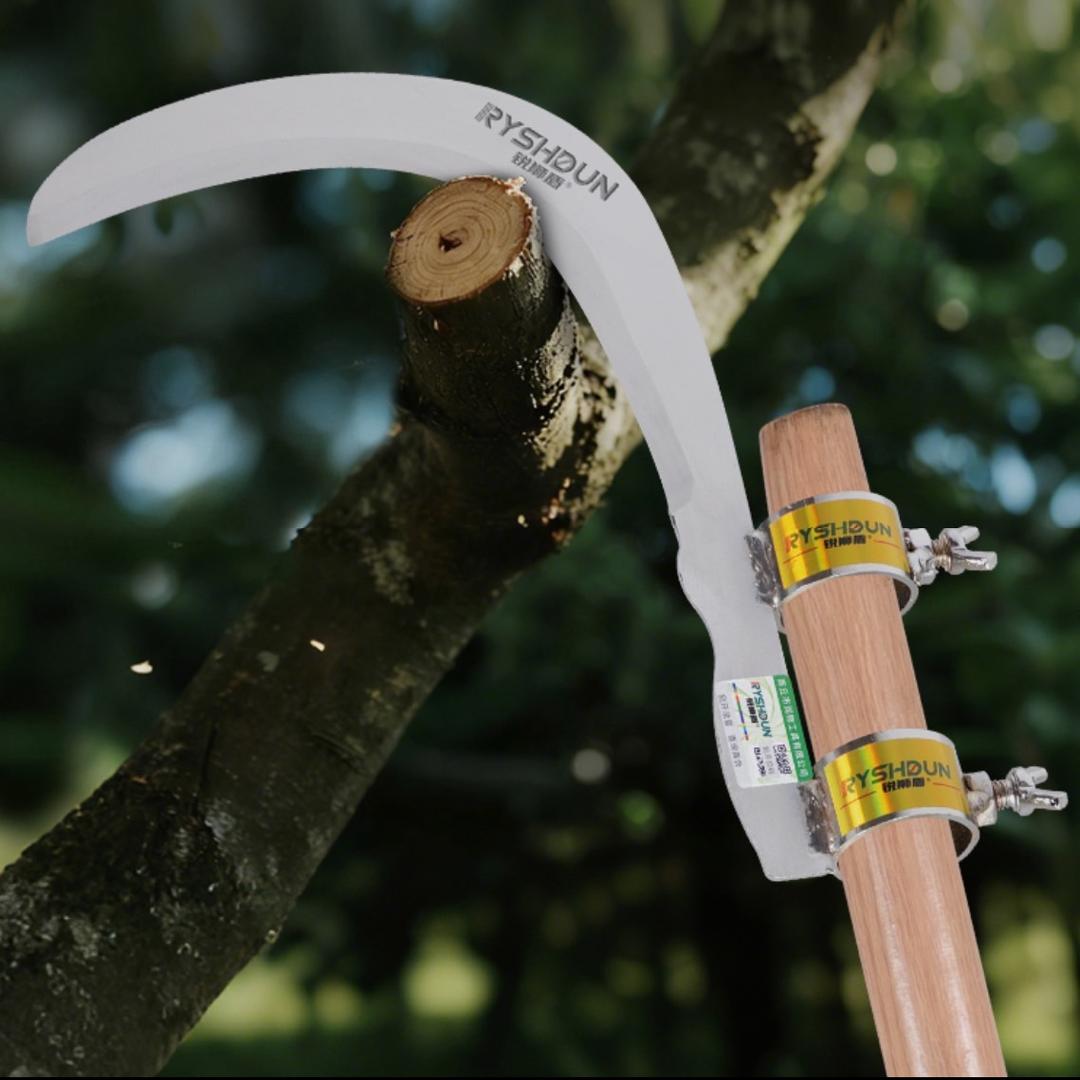 🔴丽丽优选工厂