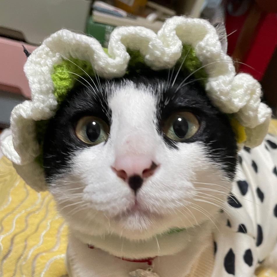 逍遥小姚