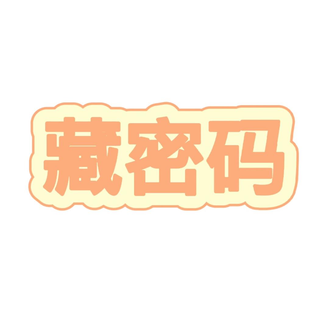 藏密码专营店