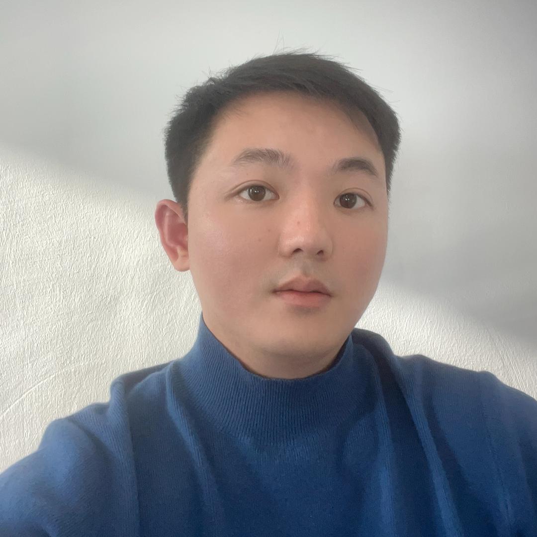 大龙