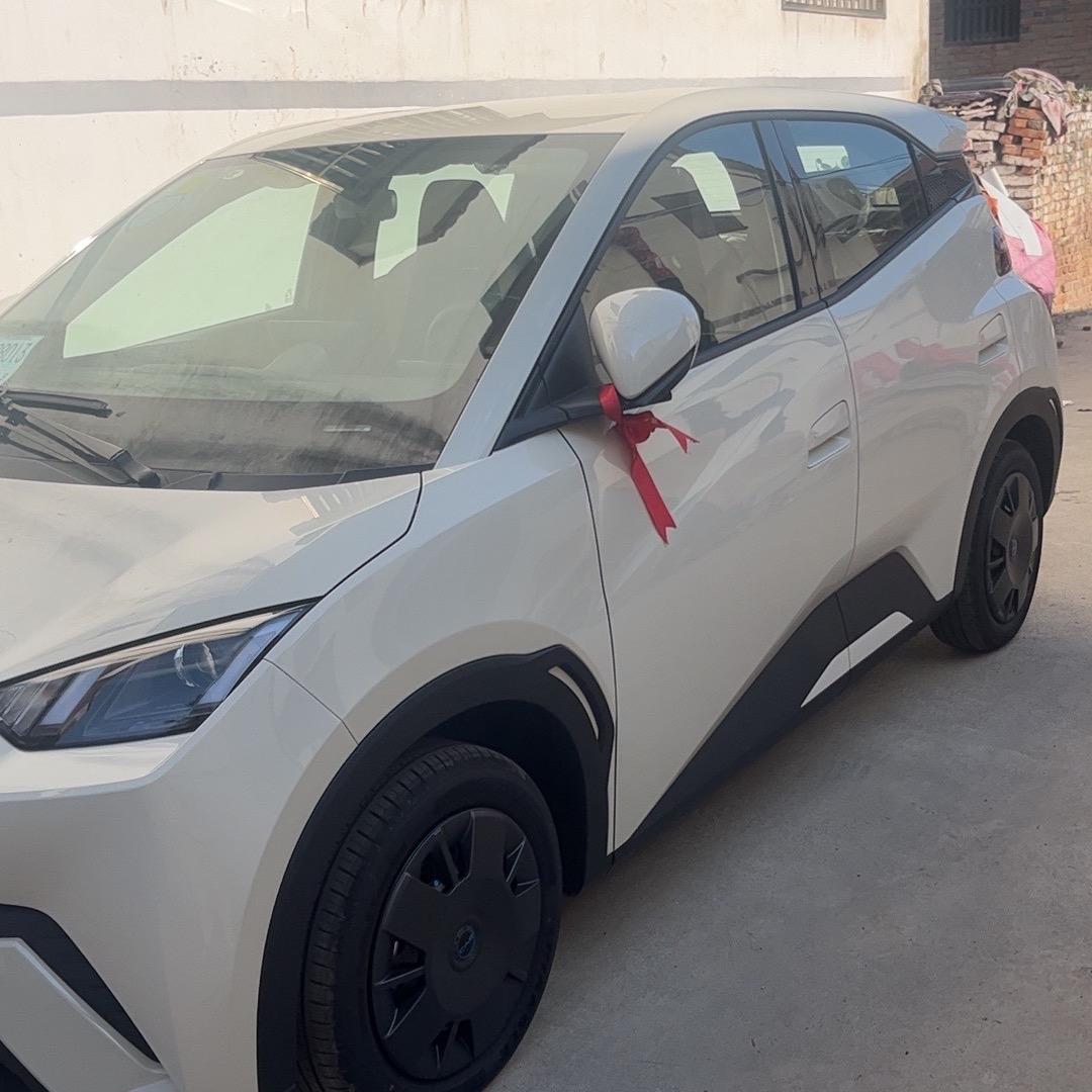 蛋蛋的小海鸥（主页有群)