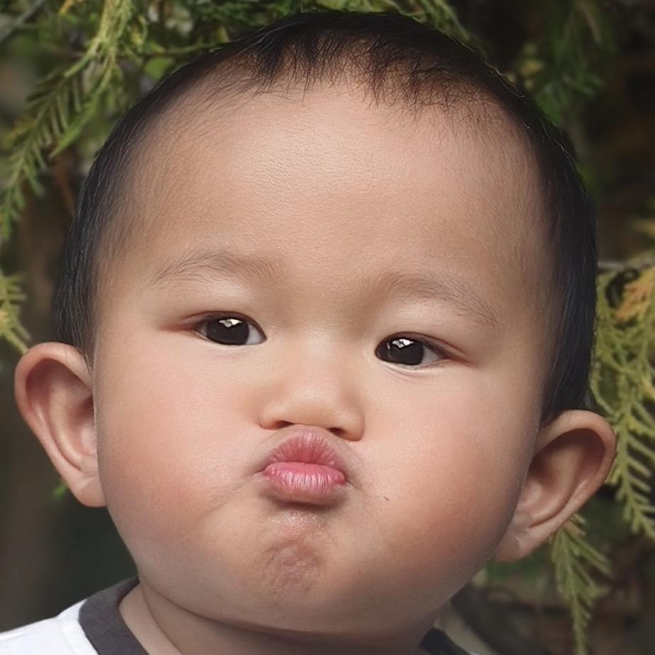 ˙Ⱉ˙ฅ❤️(๑•ૅૄ•๑)